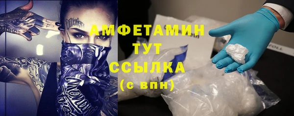 стаф Алексин