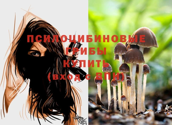 стаф Алексин